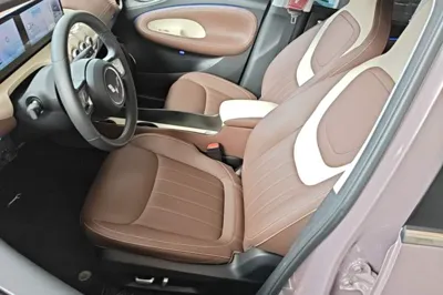 Wuling Bingo