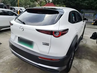 Mazda CX-30 EV