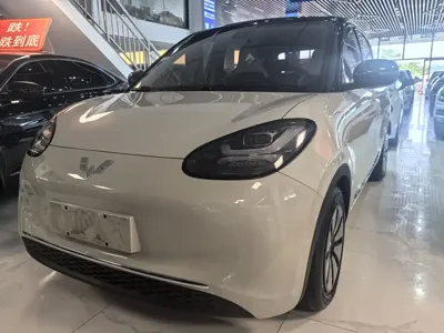 Wuling Bingo