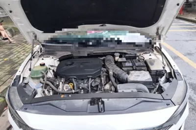 Hyundai Lafesta
