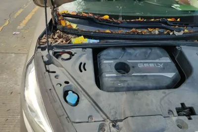 Geely Auto Emgrand GS
