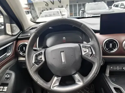 WEY Wey VV6