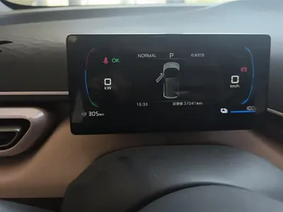 BYD Seagull