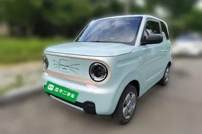 Geely Galaxy Panda