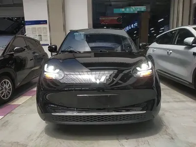 Wuling Bingo