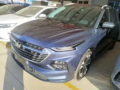 Wuling Victory