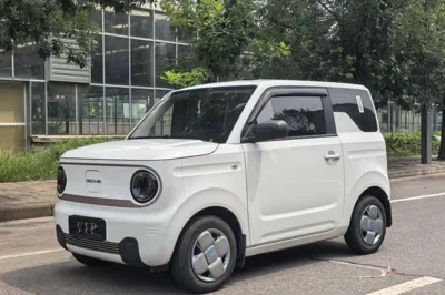 Geely Galaxy Panda
