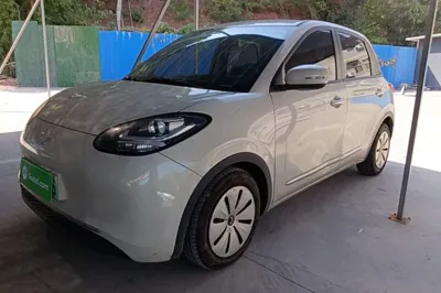 Wuling Bingo