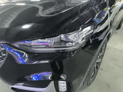 WEY Wey VV6