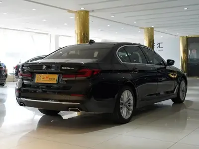 BMW 5 Series New Energy