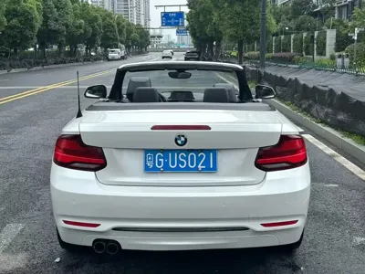BMW 2 Series (Import)