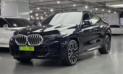 BMW X6