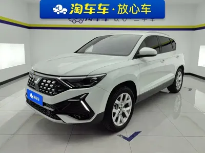 Jetta VS5