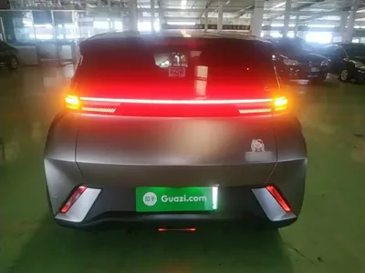 BYD Seagull
