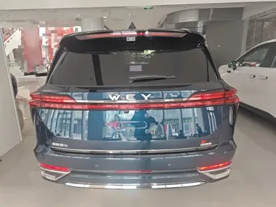 WEY Wey Lanshan