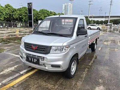 Wuling Rongguang New Truck