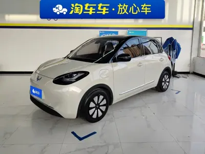 Wuling Bingo