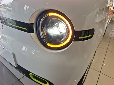 Galaxy Panda