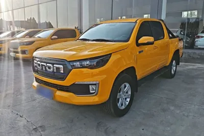 Foton EV