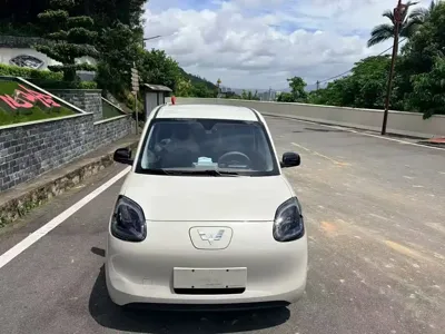 Wuling MINIEV