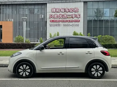 Wuling Bingo