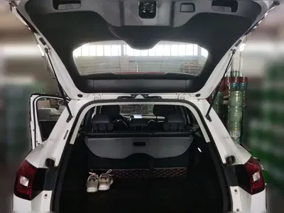 Borgward BX5