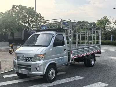 Kaicheng Shenqi T20