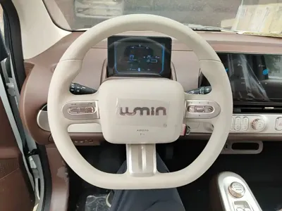 Qiyuan Lumin