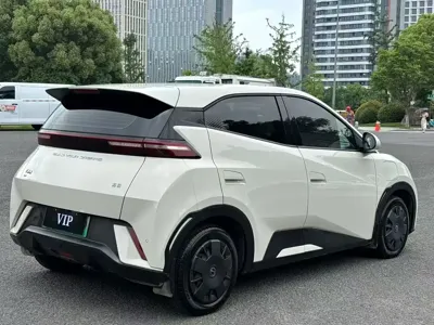BYD Seagull