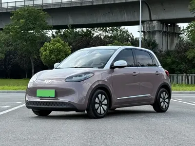 Wuling Bingo