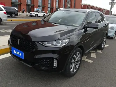 WEY Wey VV6