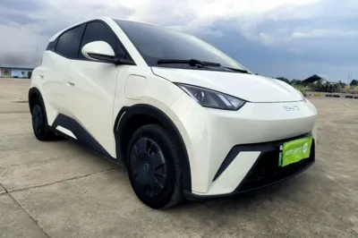 BYD Seagull