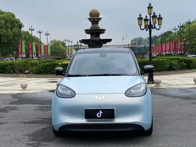 Wuling Bingo