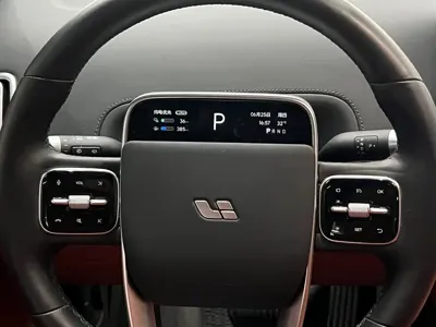 Li Auto Li L9