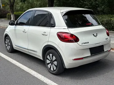 Wuling Bingo