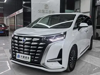 Denza Denza D9