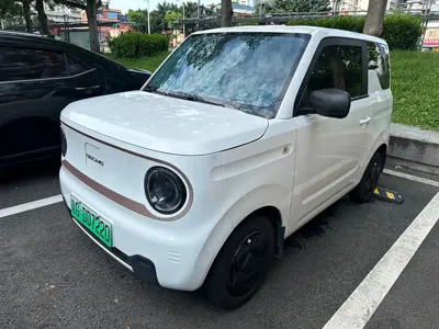 Galaxy Panda