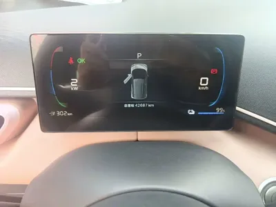 BYD Seagull