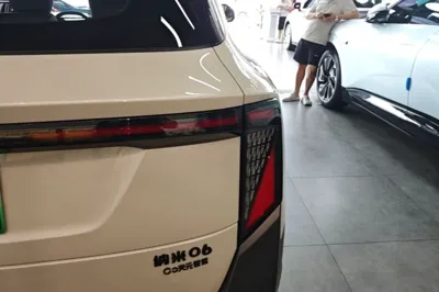 Dongfeng NAMMI 06