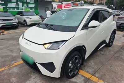 BYD Seagull
