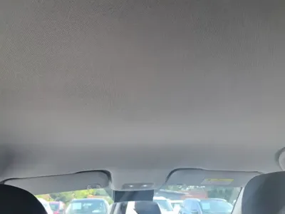 NETA Neta V