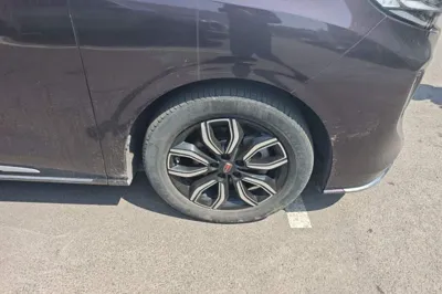 Hongqi HQ9