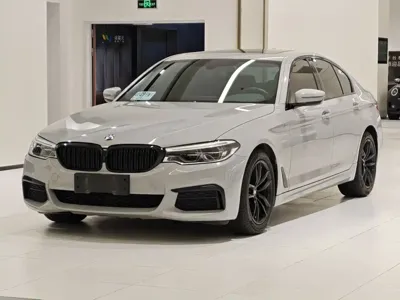 BMW 5 Series (Import)