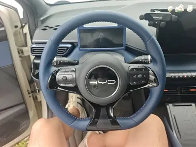 BYD Seagull