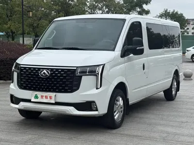 Maxus V80