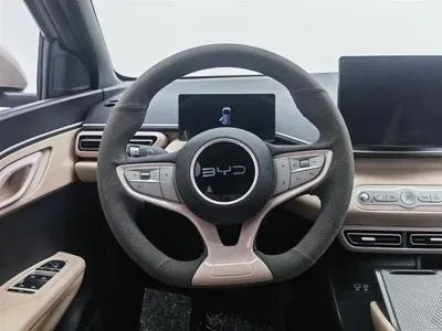 BYD Seagull
