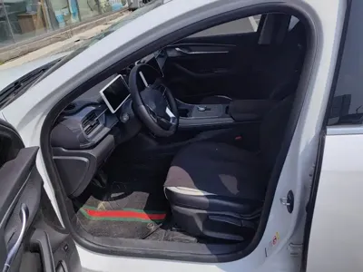BYD Destroyer 05