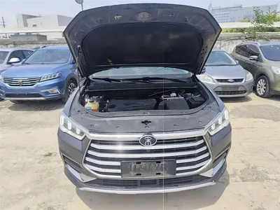 BYD Pro