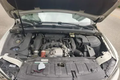 DS 5LS