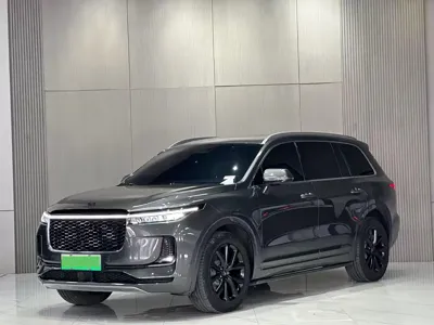 Li Auto Li ONE